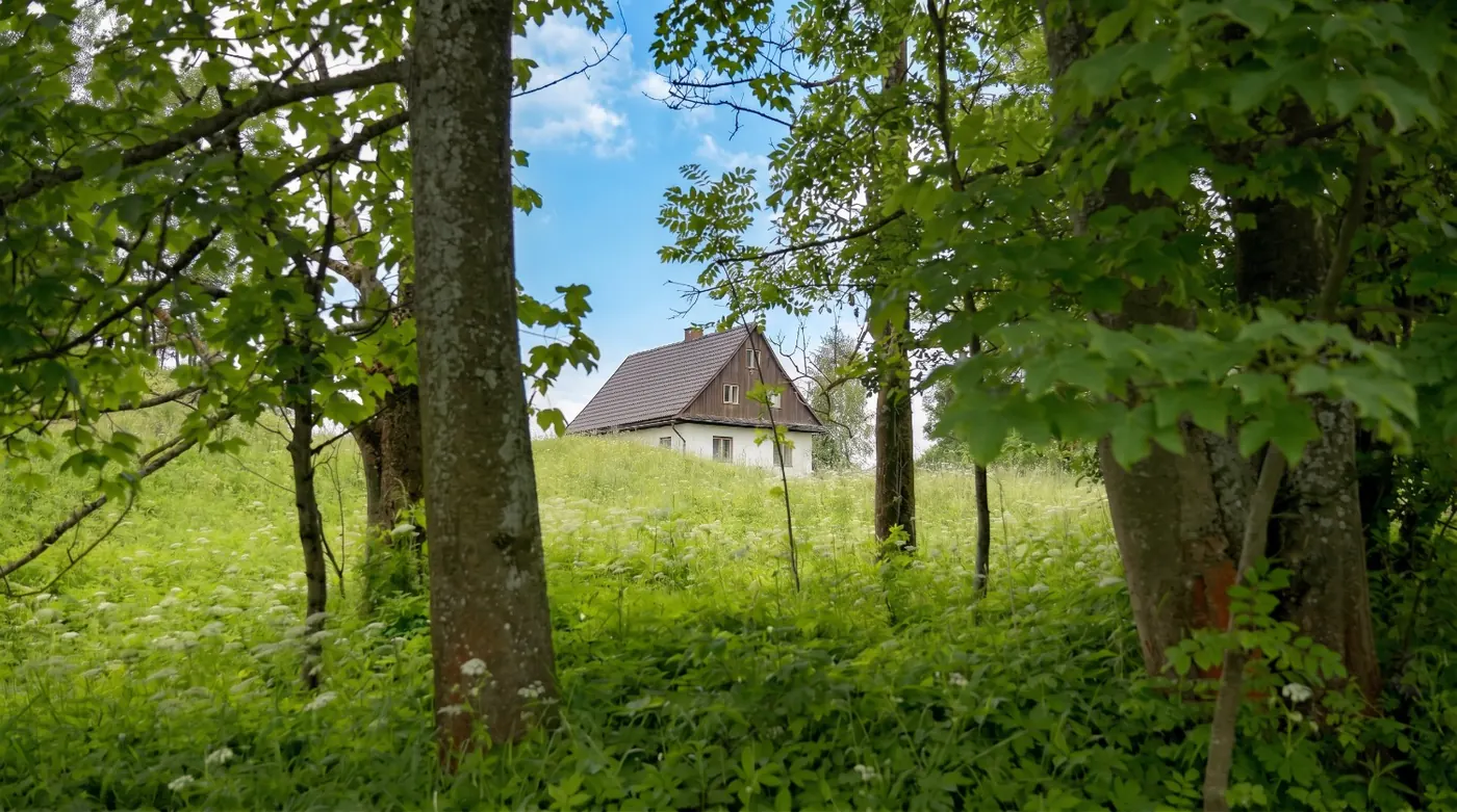 Stávající stavení mezi stromy na pozemku