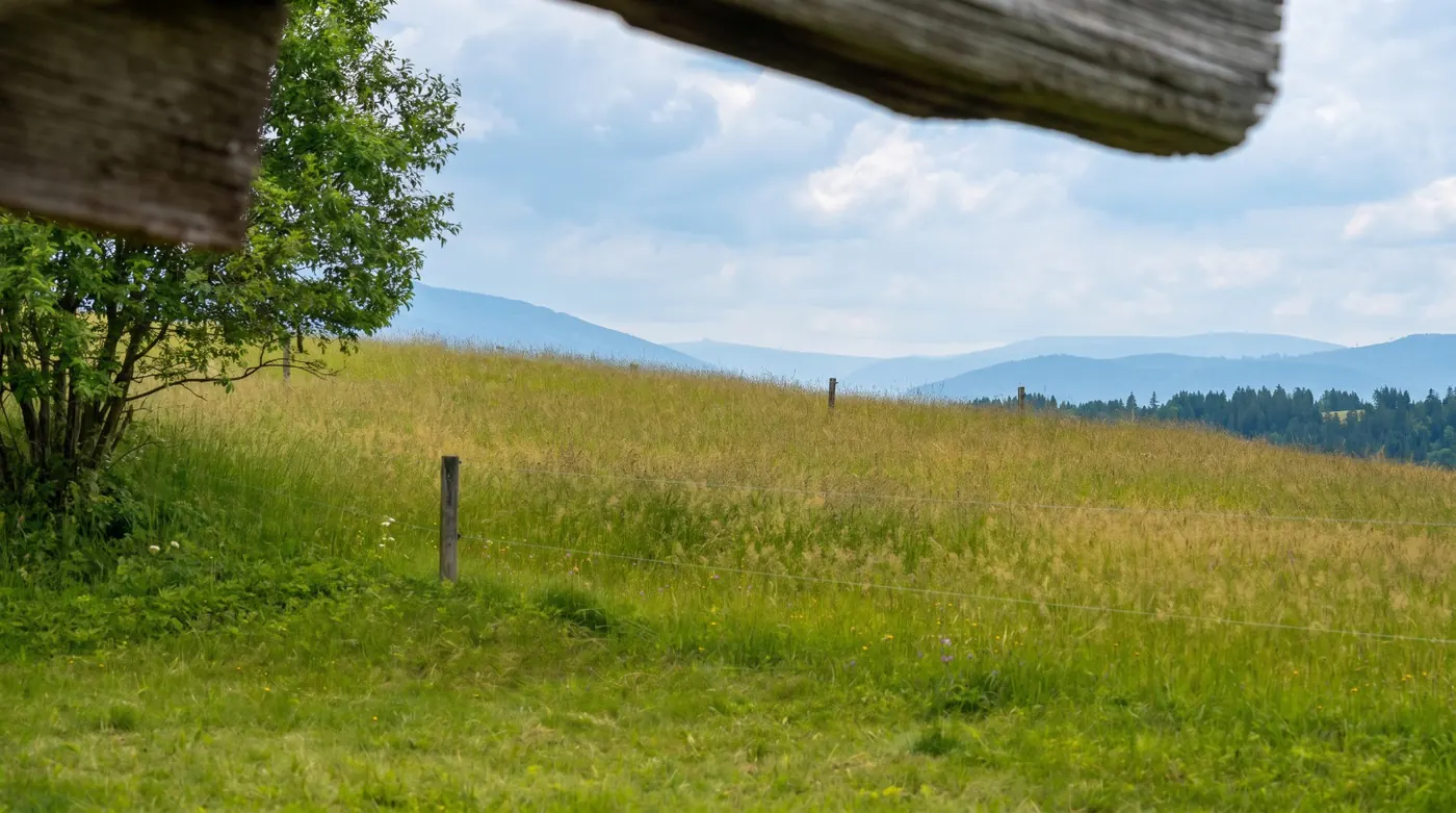 180° panorama do kopců a hor z pozemku