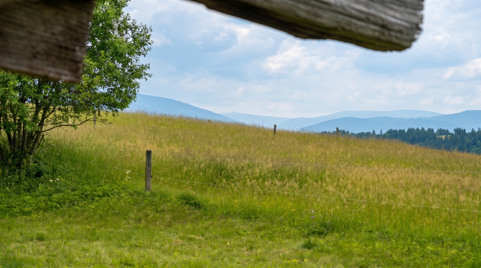 180° panorama do kopců a hor z pozemku